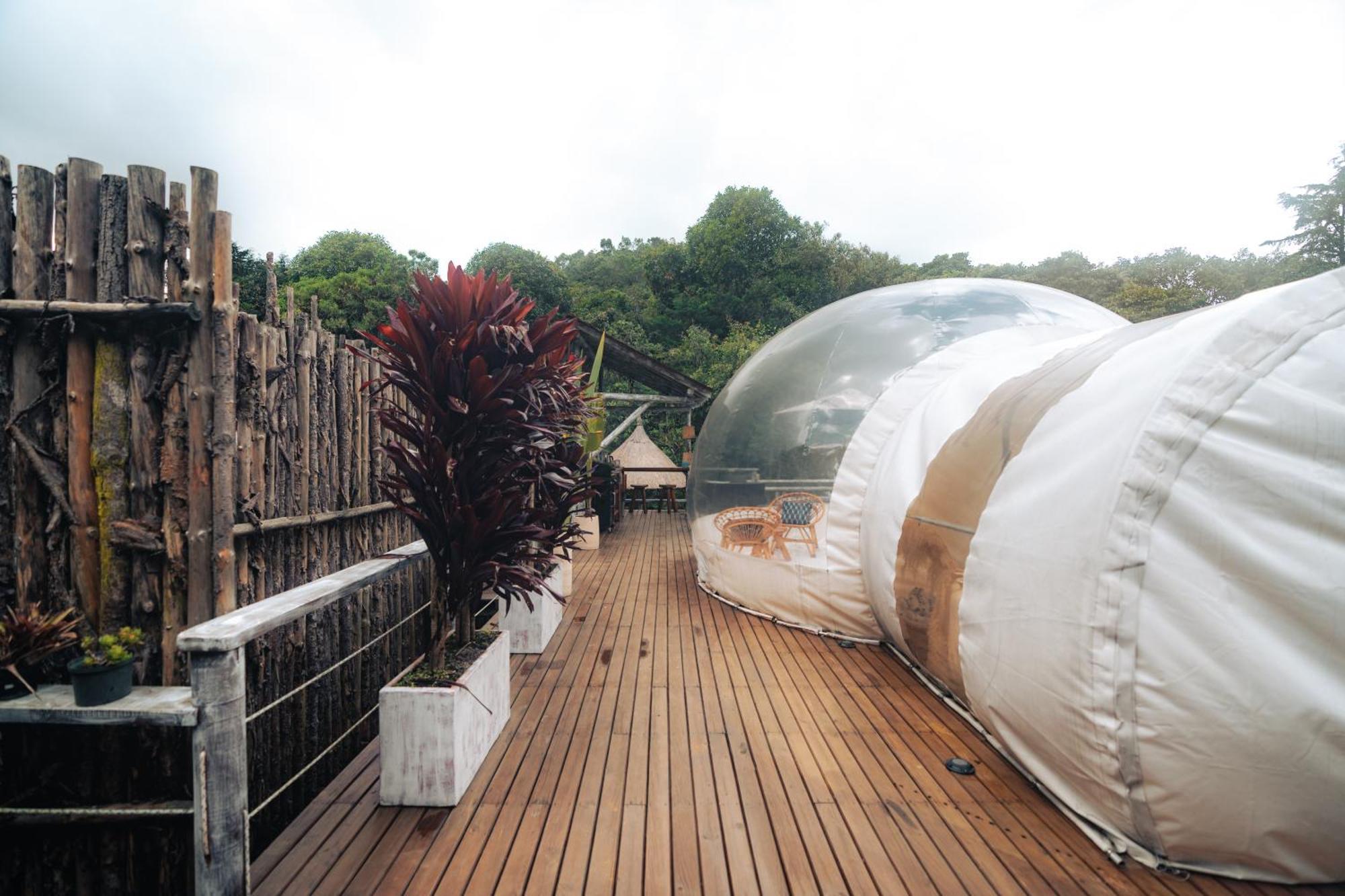 Bubblesky Glamping 15 Min From Medellin Hotel Rionegro Exterior photo